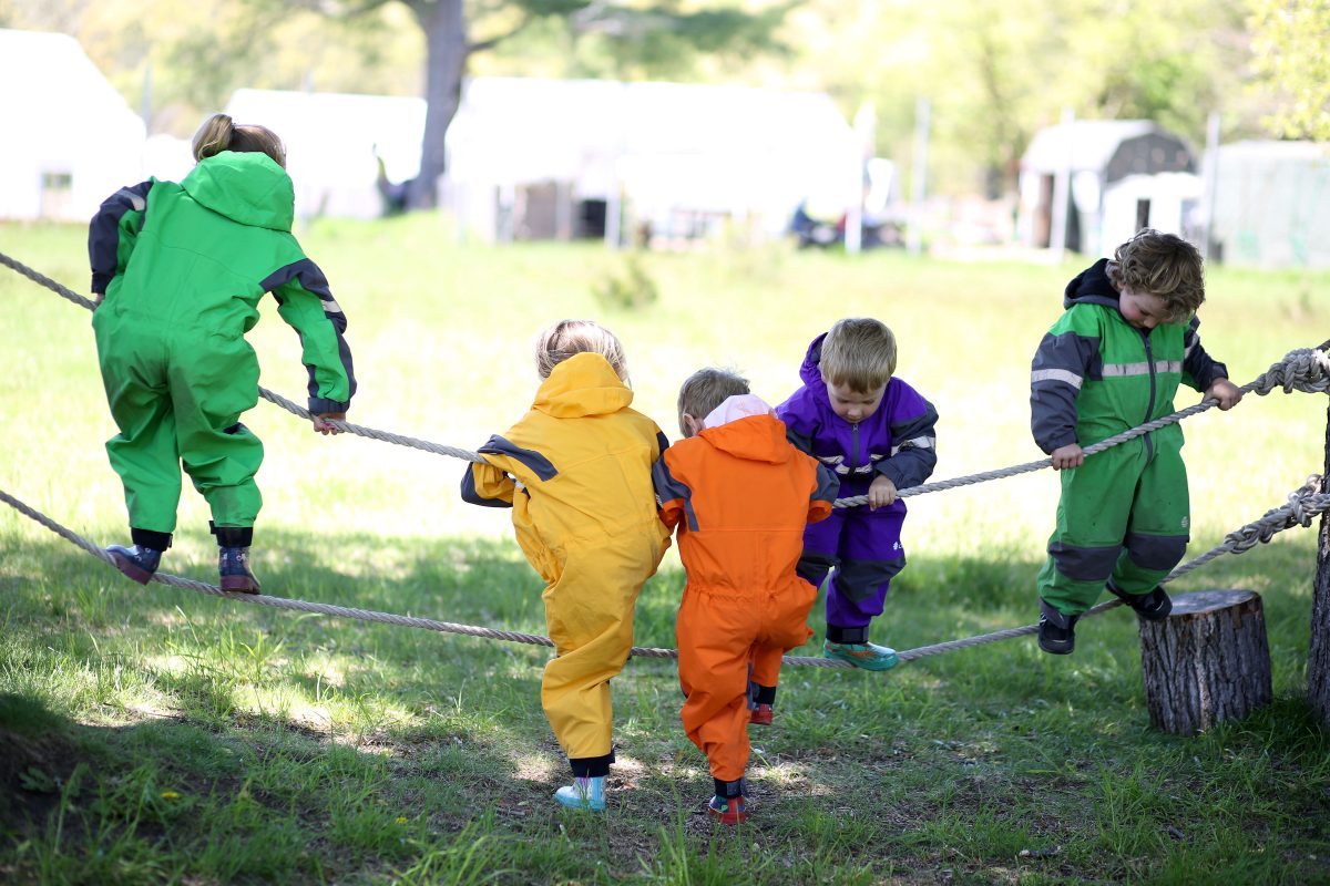 First On-Site Nature Program For Children: Forest School!