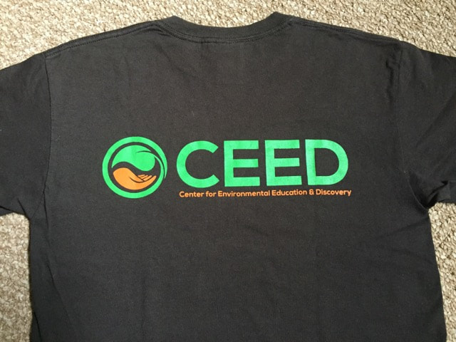 The Inception of CEED