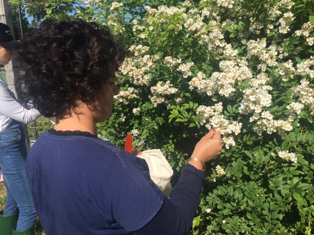 First Nature Workshop Series: Friendly Foragers