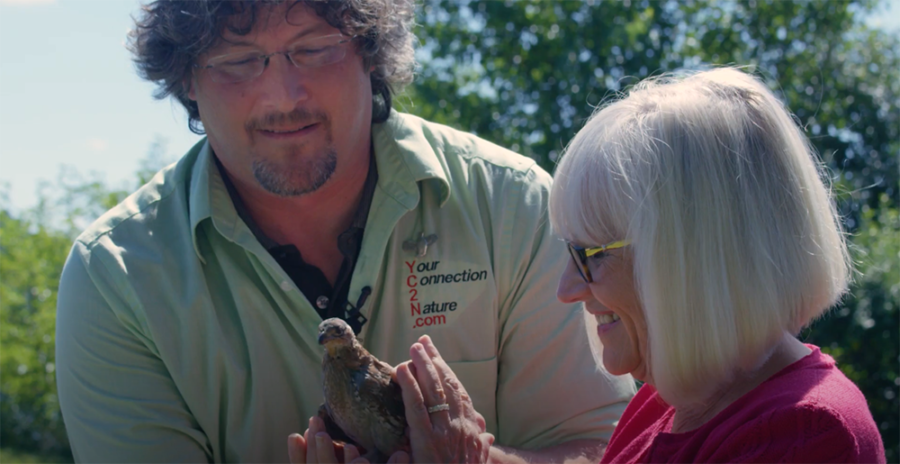 CEED Releases Tick-Eating Quail