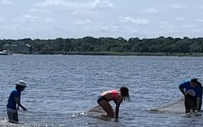 Your Students Catch Tropical Fish off Long Island Beaches